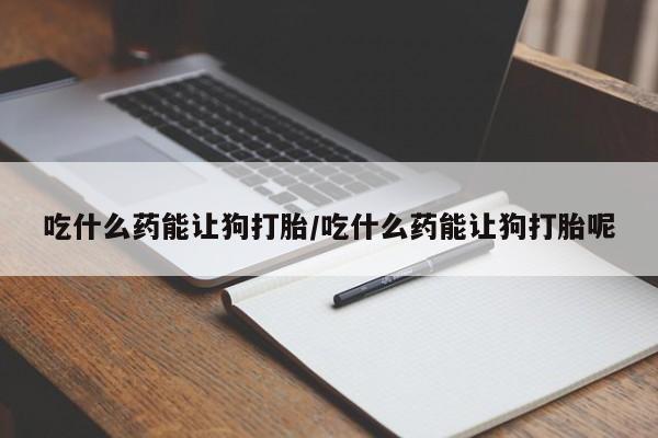 流产药购买吃什么药能让狗打胎/吃什么药能让狗打胎呢