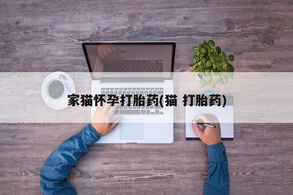 流产药购买家猫怀孕打胎药(猫 打胎药)